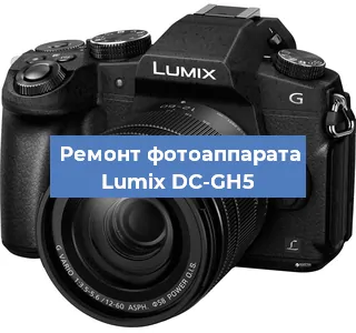 Замена шторок на фотоаппарате Lumix DC-GH5 в Москве